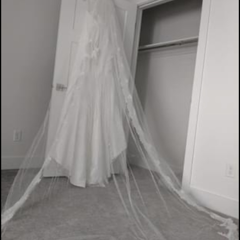 Veil - Picture 7 of 7